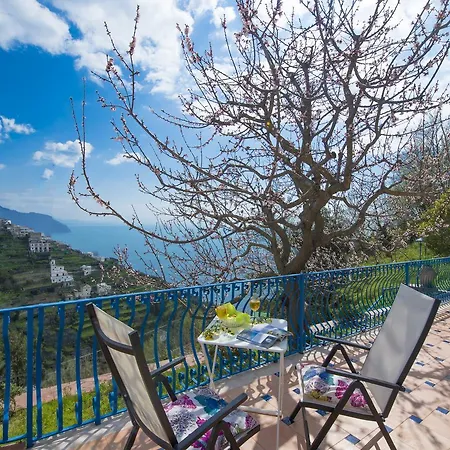 Casa Pina Apartamento *